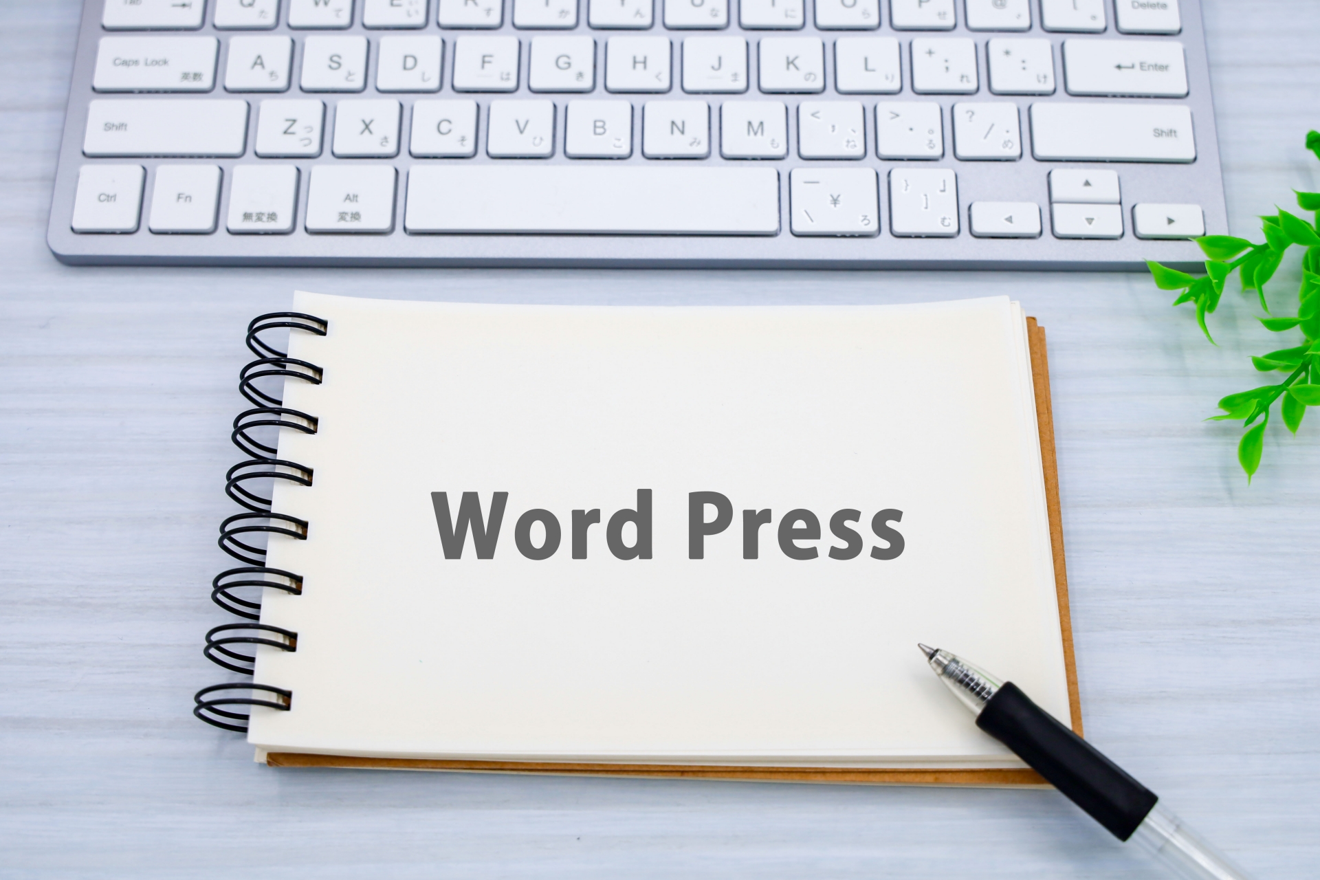 Wordpressのイメージ写真